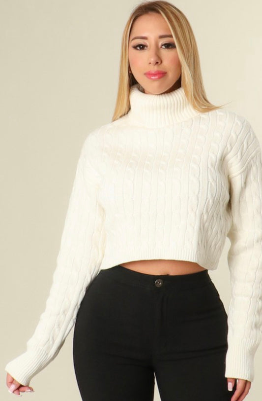 Knit Turtleneck Sweater - White