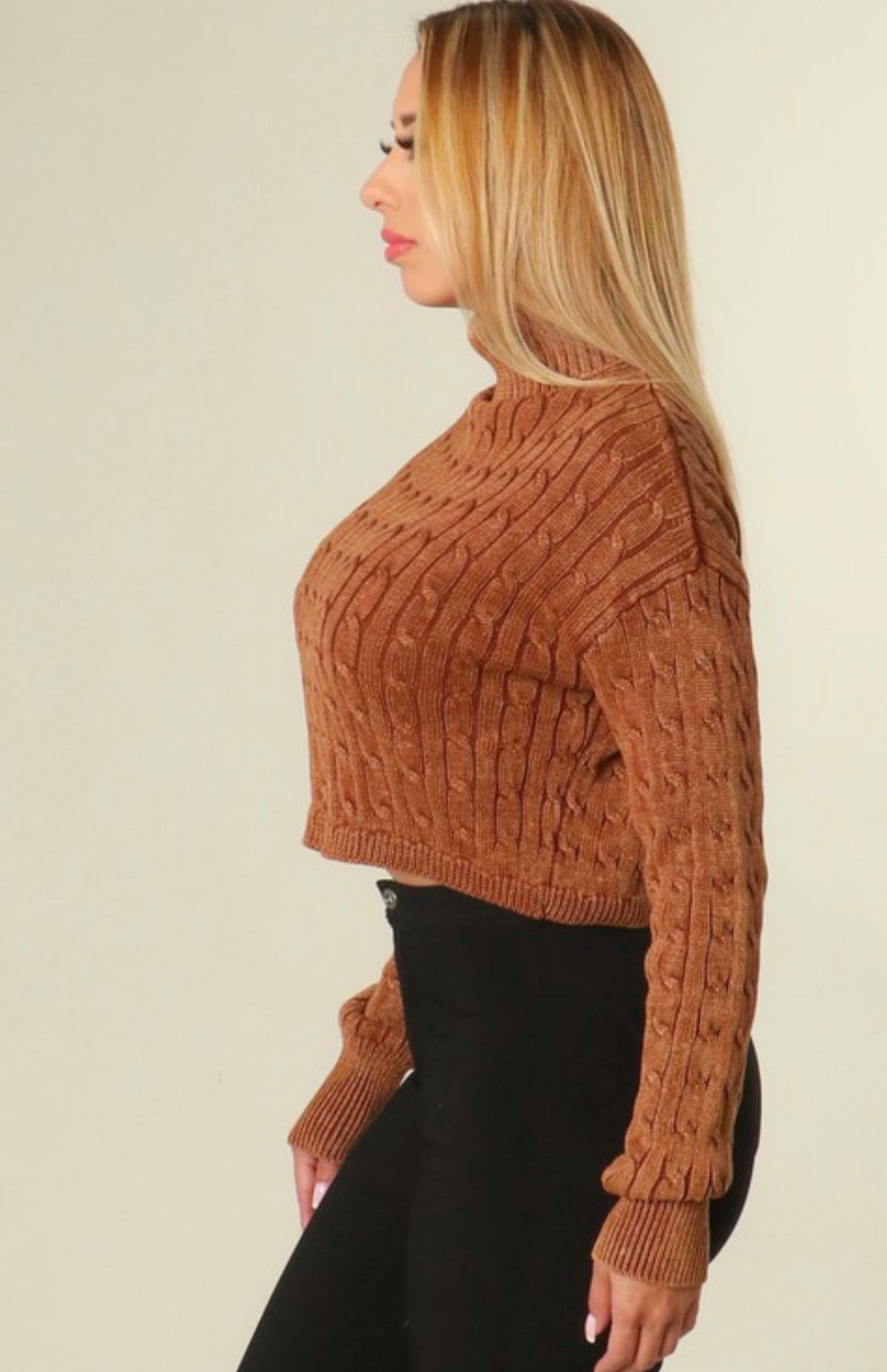 Knit Turtleneck Sweater - Brown