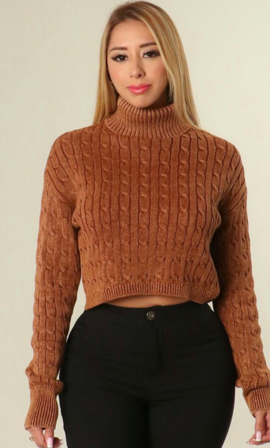 Knit Turtleneck Sweater - Brown